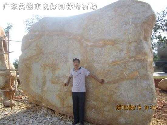 参考景观石