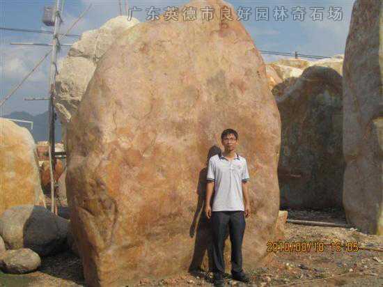 参考景观石