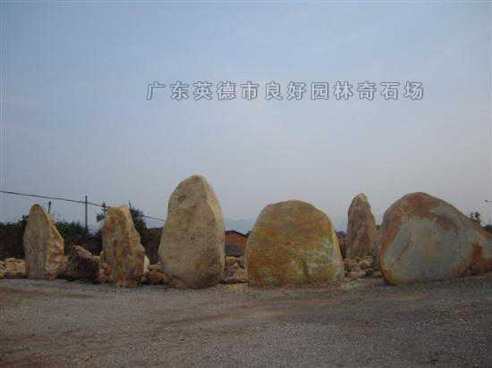 正宗黄蜡石
