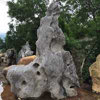 大型景观石、大型太湖石、大型园林石