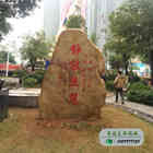 绿化黄蜡石--广州外国语学校--静能生慧