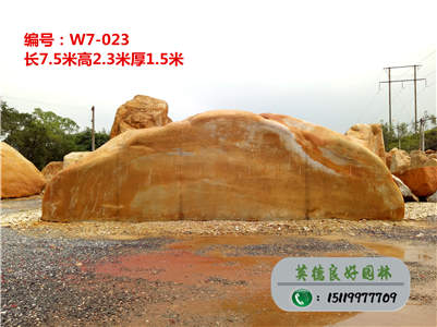 广东黄蜡石--房地产景观石批发、公园黄蜡石招标W7-023（已售）