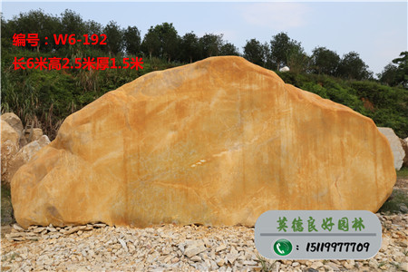 黄蜡石--上海黄腊石基地W6-192