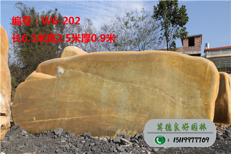 大型黄蜡石价格W6-202
