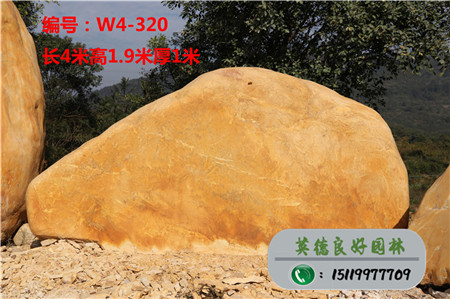 广东黄蜡石价格W4-320