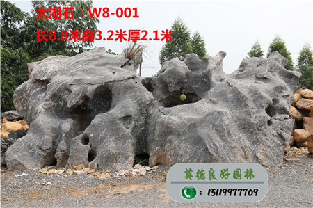 大型太湖石TW8-001