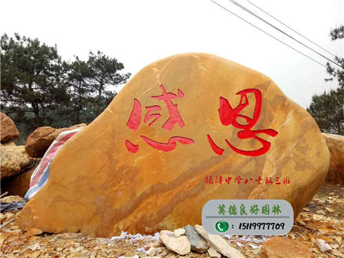 感恩母校，重庆龙潭中学八七级三班的校友赠石