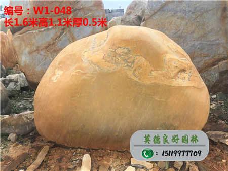 广东黄蜡石价格W1-048