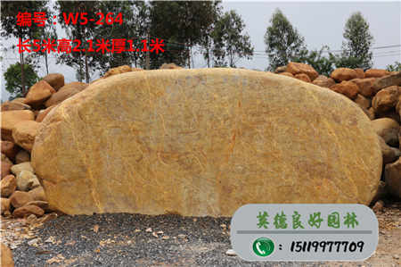 上海黄蜡石原石价格W5-264
