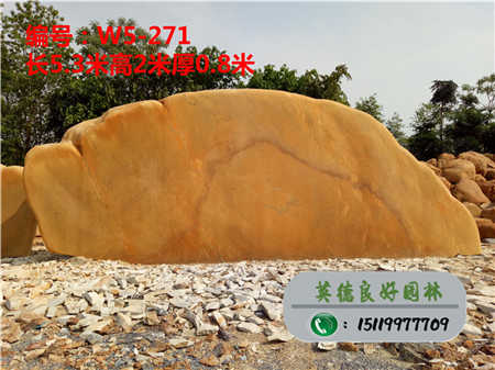 天津大型景观石批发W5-271