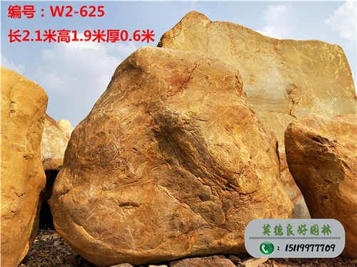 广东黄蜡石W2-625
